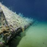 A torpedoed US Navy ship escaped the Pacific in reverse, using coconut logs. Its sunken bow has just been found